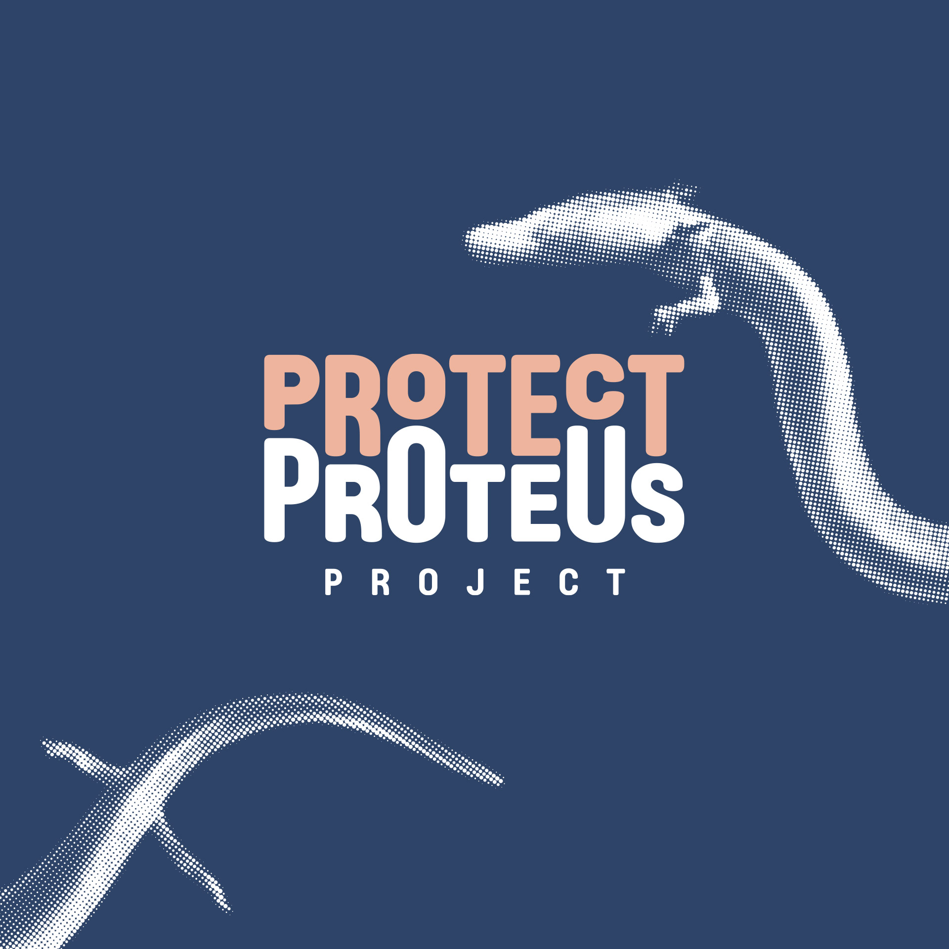 INN Web Protect proteus 1920x1920 06